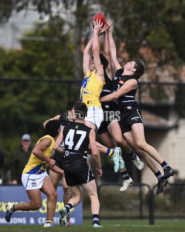 Coates League Boys 2025 Round 18 - Northern Knights v Western Jets - A-61515242