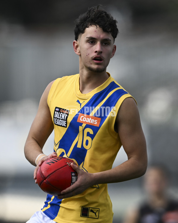 Coates League Boys 2025 Round 18 - Northern Knights v Western Jets - A-61515886