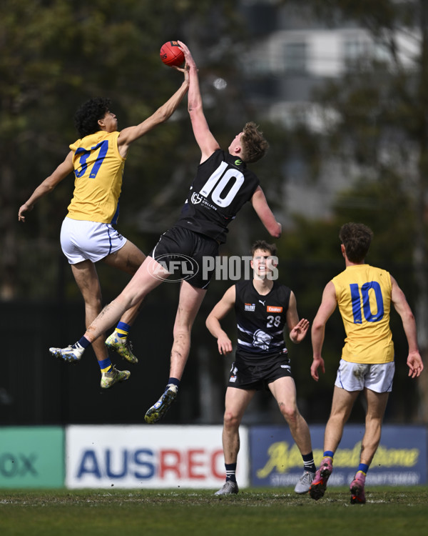 Coates League Boys 2025 Round 18 - Northern Knights v Western Jets - A-61515888
