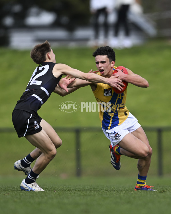 Coates League Boys 2025 Round 18 - Northern Knights v Western Jets - A-61515900