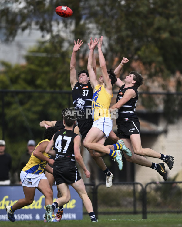 Coates League Boys 2025 Round 18 - Northern Knights v Western Jets - A-61515932
