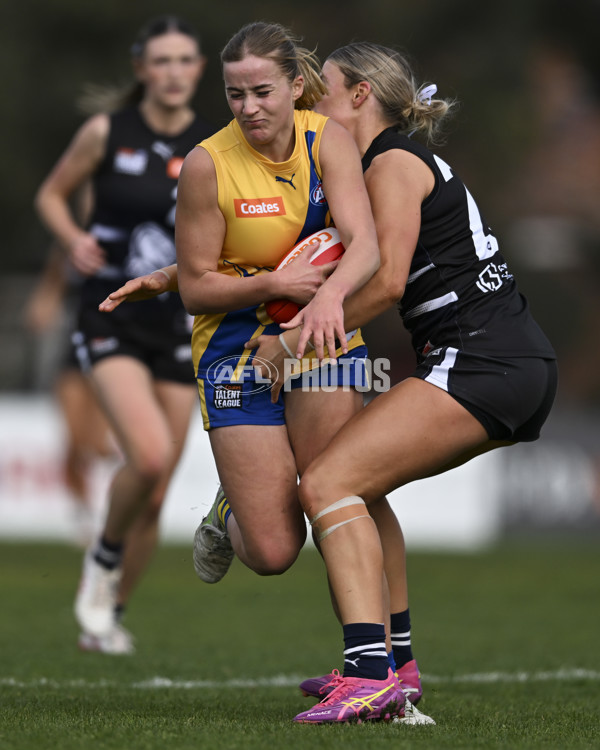 Coates League Girls 2025 Round 17 - Northern Knights v Western Jets - A-61515964