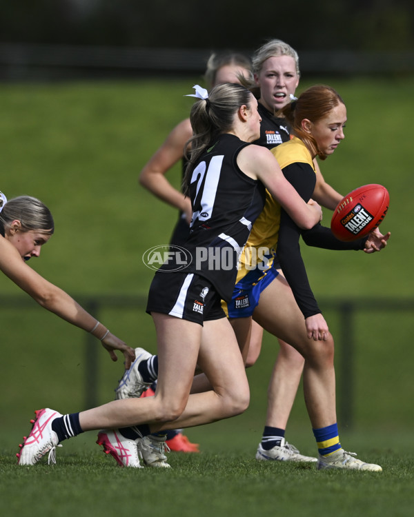 Coates League Girls 2025 Round 17 - Northern Knights v Western Jets - A-61518301