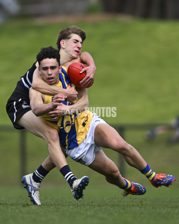 Coates League Boys 2025 Round 18 - Northern Knights v Western Jets - A-61518339