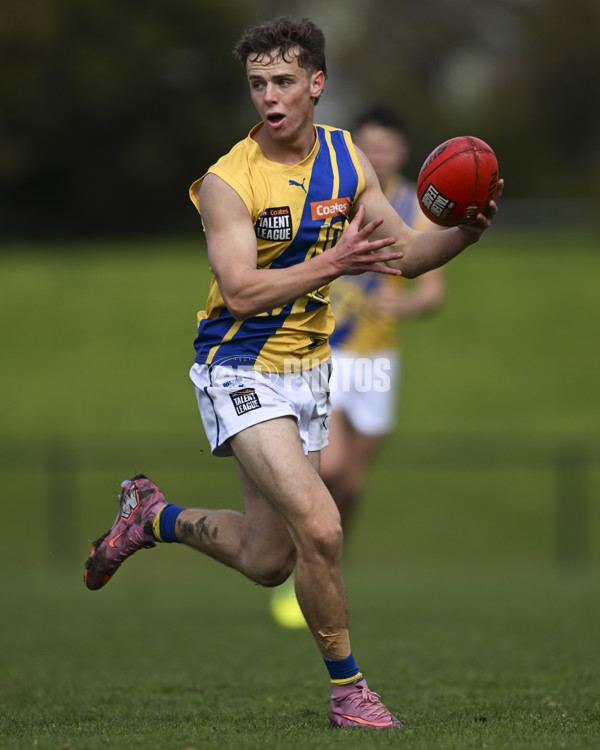 Coates League Boys 2025 Round 18 - Northern Knights v Western Jets - A-61518340