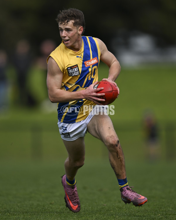 Coates League Boys 2025 Round 18 - Northern Knights v Western Jets - A-61518342