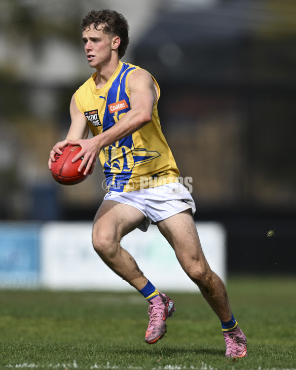 Coates League Boys 2025 Round 18 - Northern Knights v Western Jets - A-61518343