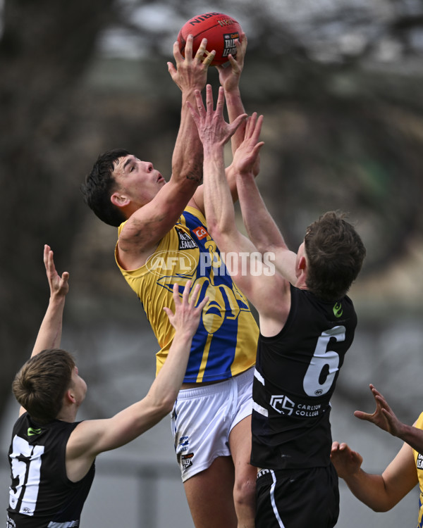 Coates League Boys 2025 Round 18 - Northern Knights v Western Jets - A-61518367