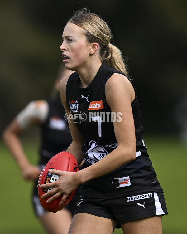 Coates League Girls 2025 Round 17 - Northern Knights v Western Jets - A-61518702