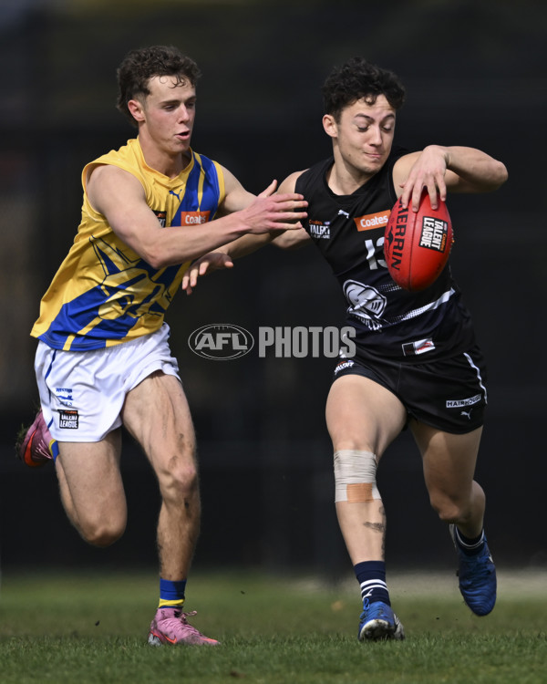 Coates League Boys 2025 Round 18 - Northern Knights v Western Jets - A-61518722