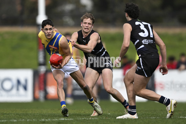 Coates League Boys 2025 Round 18 - Northern Knights v Western Jets - A-61518723