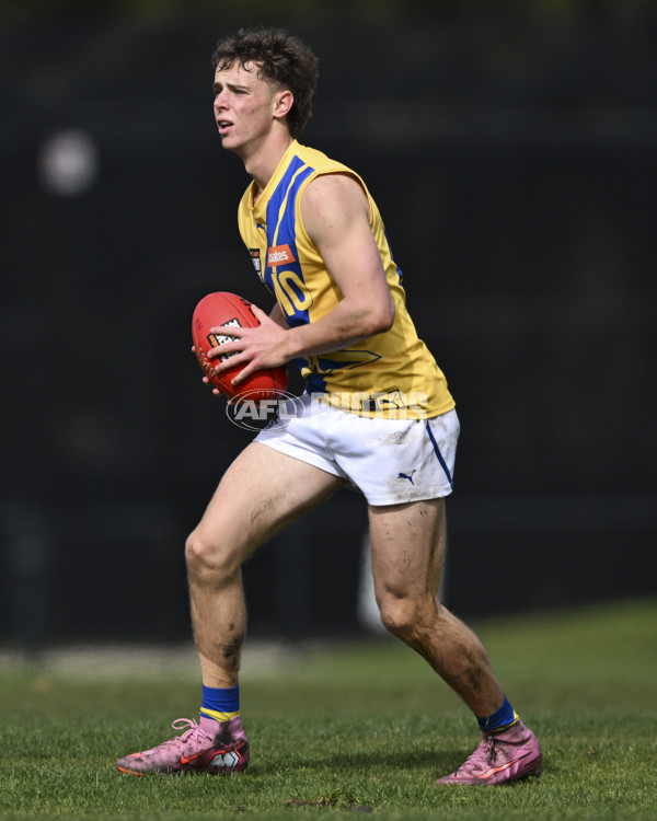 Coates League Boys 2025 Round 18 - Northern Knights v Western Jets - A-61518724