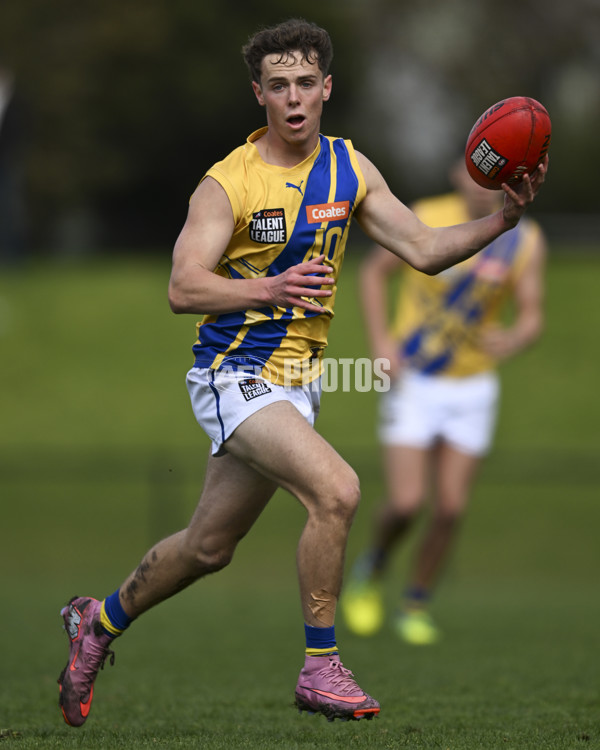 Coates League Boys 2025 Round 18 - Northern Knights v Western Jets - A-61518725