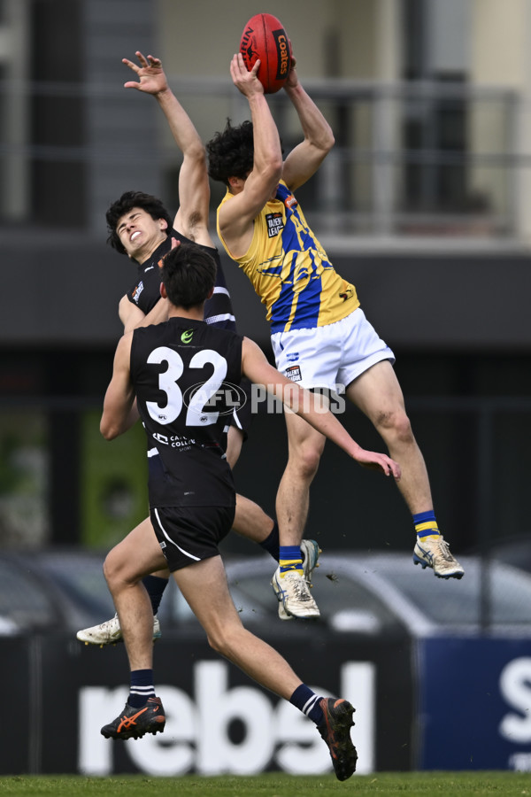 Coates League Boys 2025 Round 18 - Northern Knights v Western Jets - A-61518727