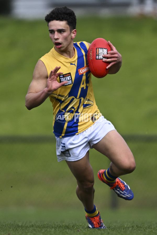 Coates League Boys 2025 Round 18 - Northern Knights v Western Jets - A-61518730