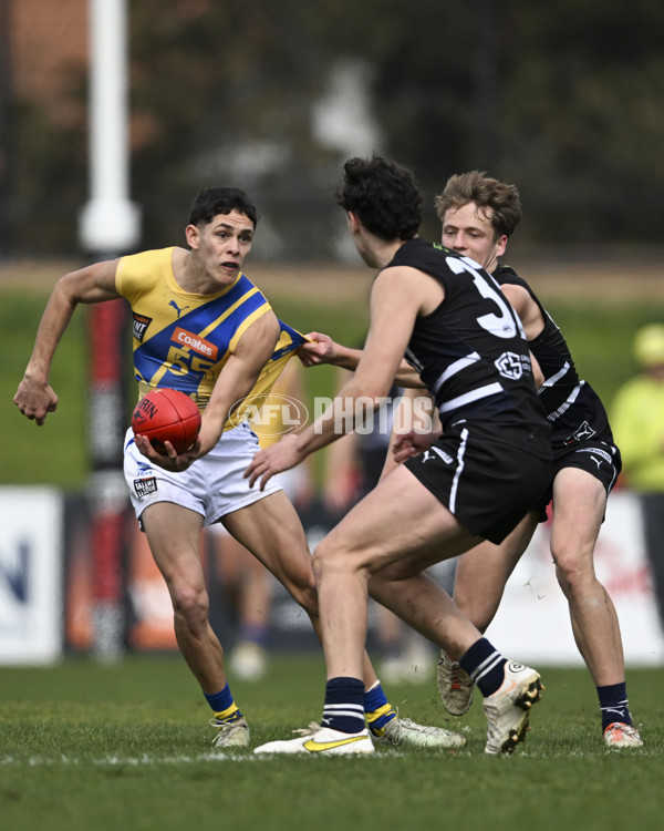 Coates League Boys 2025 Round 18 - Northern Knights v Western Jets - A-61518731