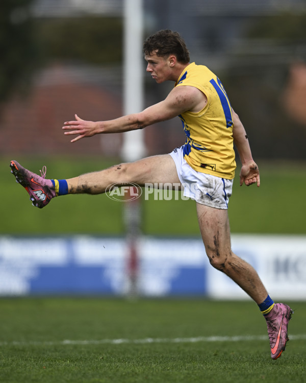 Coates League Boys 2025 Round 18 - Northern Knights v Western Jets - A-61518735