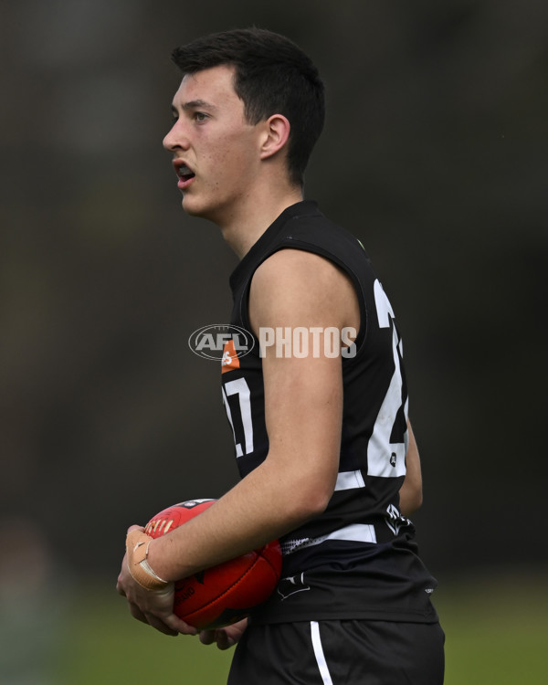 Coates League Boys 2025 Round 18 - Northern Knights v Western Jets - A-61518762