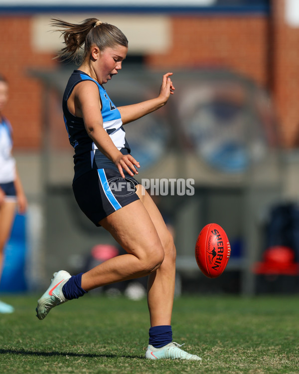 2025 Herald Sun Shield - Division 1 Intermediate Girls Grand Final - A-61526188