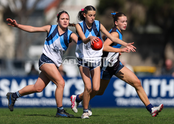 2025 Herald Sun Shield - Division 1 Intermediate Girls Grand Final - A-61526201
