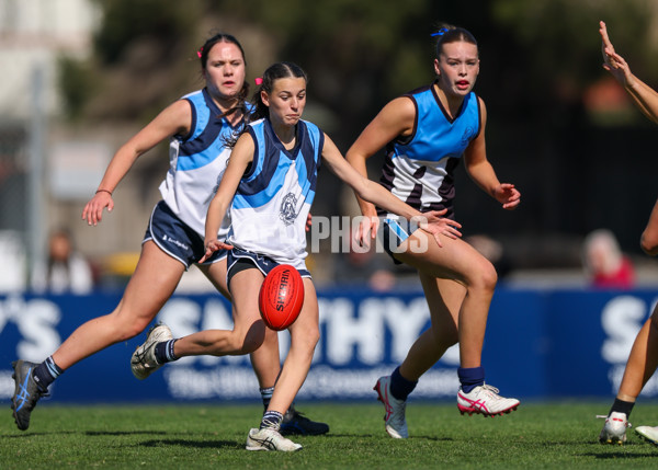 2025 Herald Sun Shield - Division 1 Intermediate Girls Grand Final - A-61526790