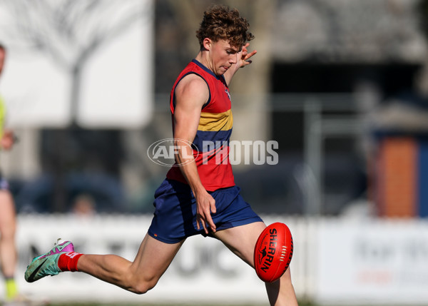 2025 Herald Sun Shield - Division 1 Intermediate Boys Grand Final - A-61527718