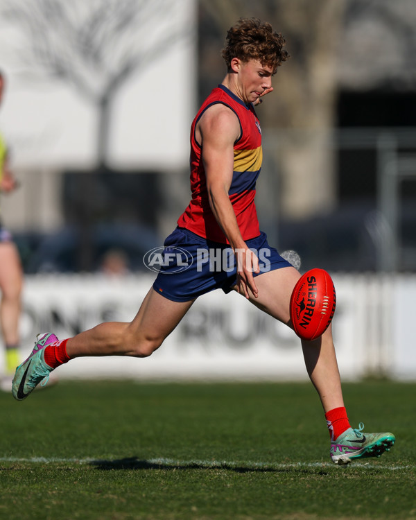 2025 Herald Sun Shield - Division 1 Intermediate Boys Grand Final - A-61527719