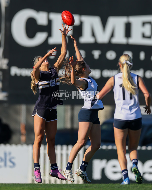 2025 Herald Sun Shield - Division 1 Senior Girls Grand Final - A-61529885
