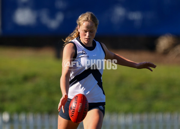 2025 Herald Sun Shield - Division 1 Senior Girls Grand Final - A-61530743