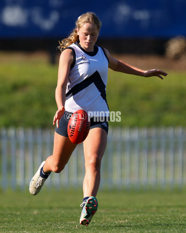 2025 Herald Sun Shield - Division 1 Senior Girls Grand Final - A-61530744