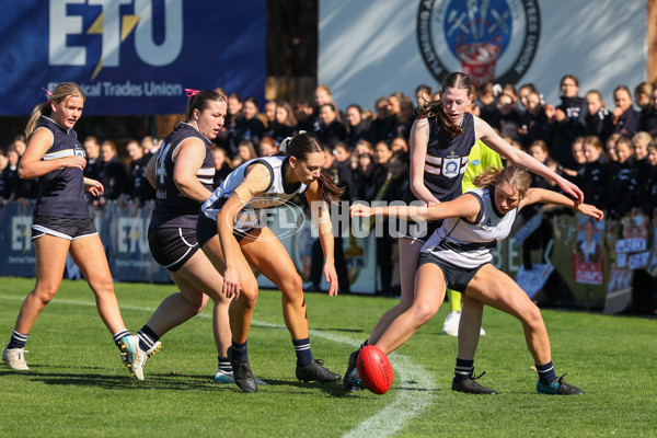 2025 Herald Sun Shield - Division 1 Senior Girls Grand Final - A-61530815