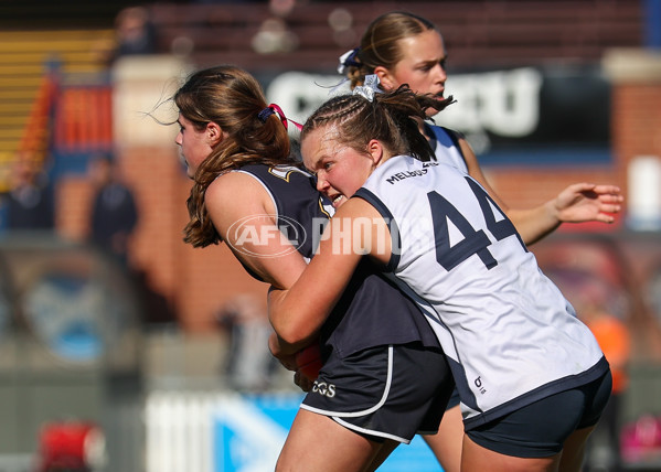 2025 Herald Sun Shield - Division 1 Senior Girls Grand Final - A-61532341