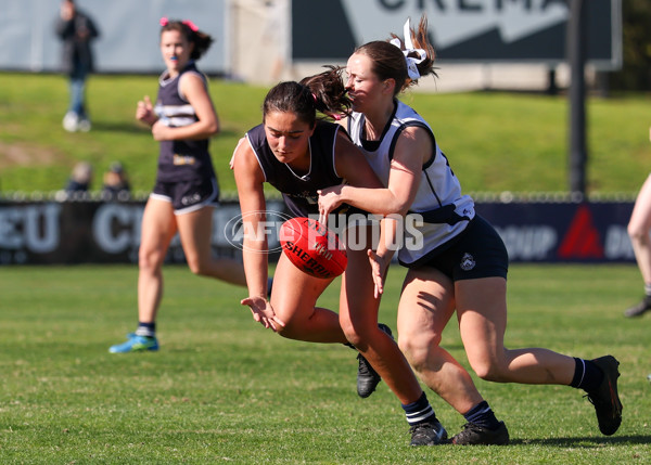 2025 Herald Sun Shield - Division 1 Senior Girls Grand Final - A-61538292