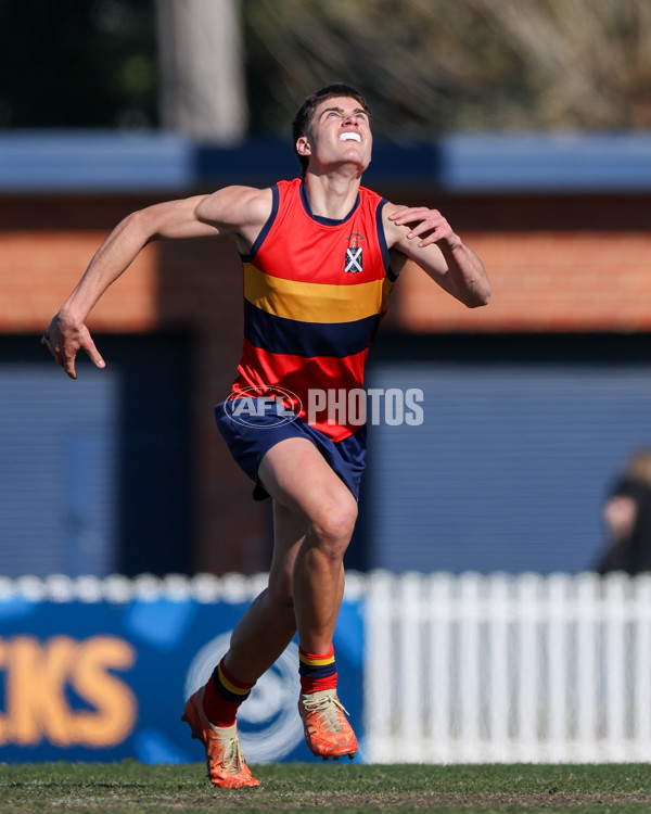 2025 Herald Sun Shield - Division 1 Intermediate Boys Grand Final - A-61545215