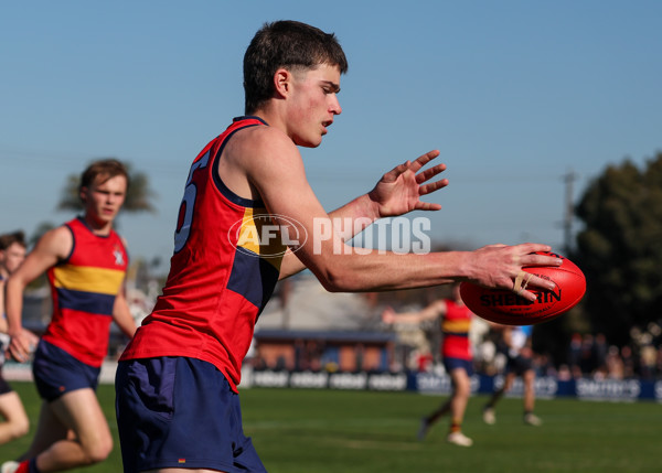 2025 Herald Sun Shield - Division 1 Intermediate Boys Grand Final - A-61562594
