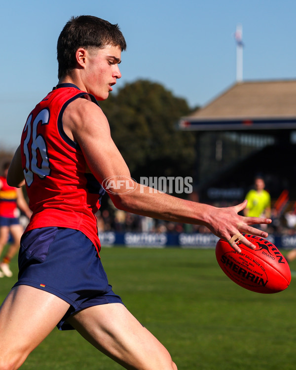 2025 Herald Sun Shield - Division 1 Intermediate Boys Grand Final - A-61562595