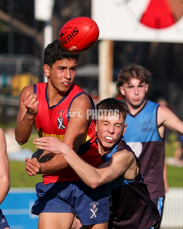 2025 Herald Sun Shield - Division 1 Intermediate Boys Grand Final - A-61577003