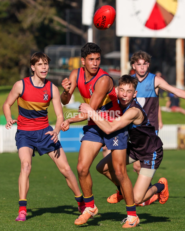 2025 Herald Sun Shield - Division 1 Intermediate Boys Grand Final - A-61577007