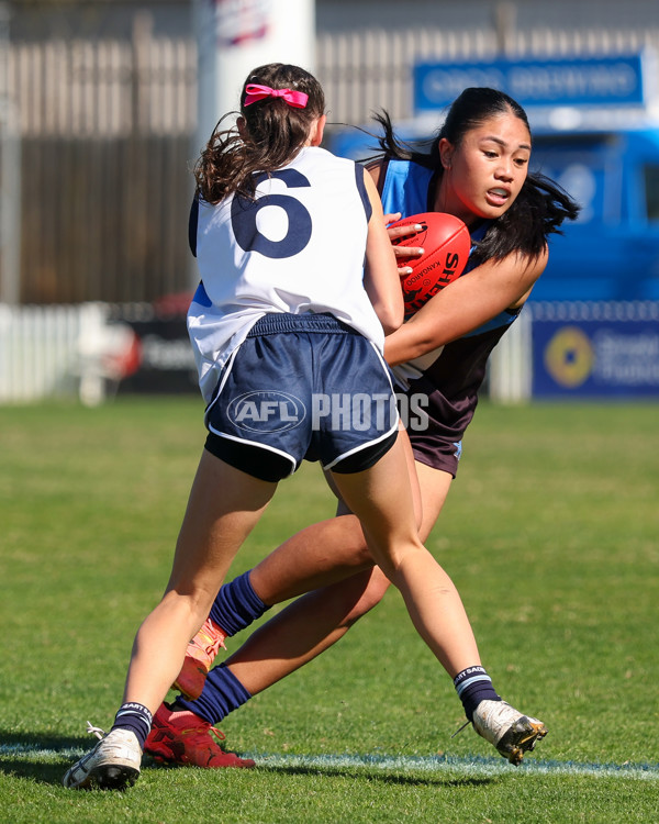 2025 Herald Sun Shield - Division 1 Intermediate Girls Grand Final - A-61586938