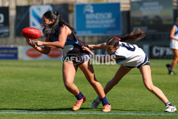 2025 Herald Sun Shield - Division 1 Intermediate Girls Grand Final - A-61586940