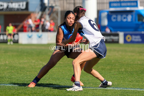2025 Herald Sun Shield - Division 1 Intermediate Girls Grand Final - A-61586942