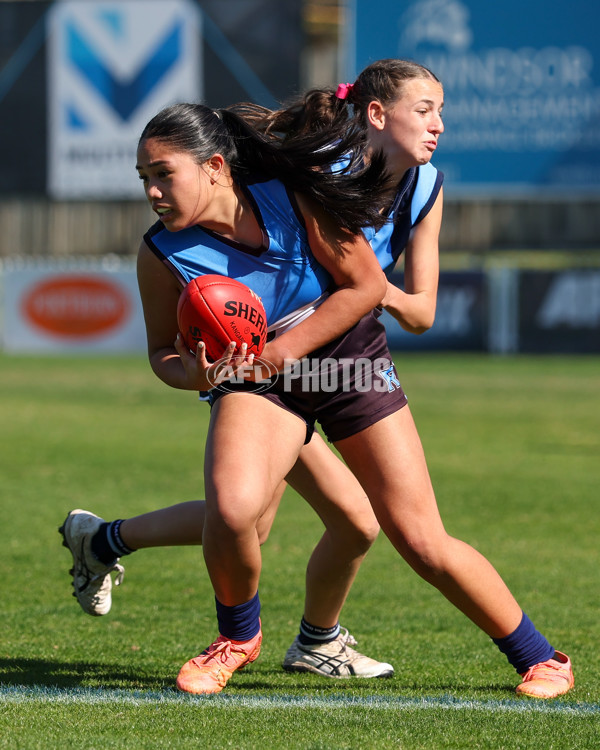 2025 Herald Sun Shield - Division 1 Intermediate Girls Grand Final - A-61586943