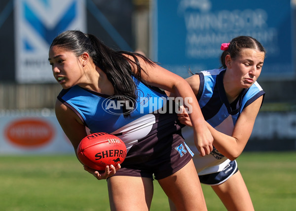 2025 Herald Sun Shield - Division 1 Intermediate Girls Grand Final - A-61586944
