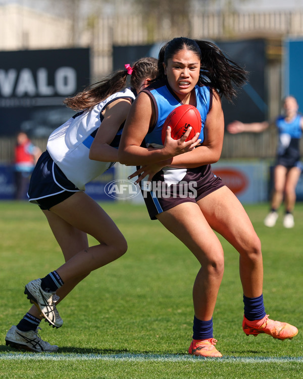 2025 Herald Sun Shield - Division 1 Intermediate Girls Grand Final - A-61586945
