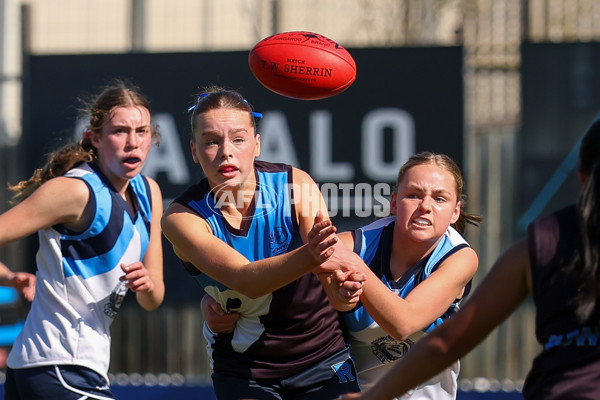 2025 Herald Sun Shield - Division 1 Intermediate Girls Grand Final - A-61586965