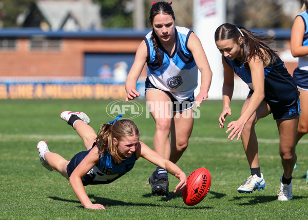 2025 Herald Sun Shield - Division 1 Intermediate Girls Grand Final - A-61586966