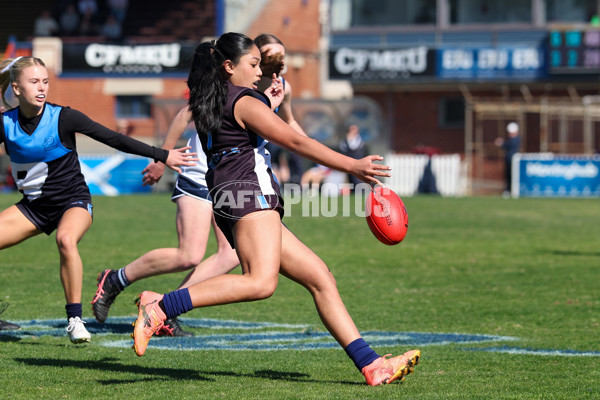 2025 Herald Sun Shield - Division 1 Intermediate Girls Grand Final - A-61595672
