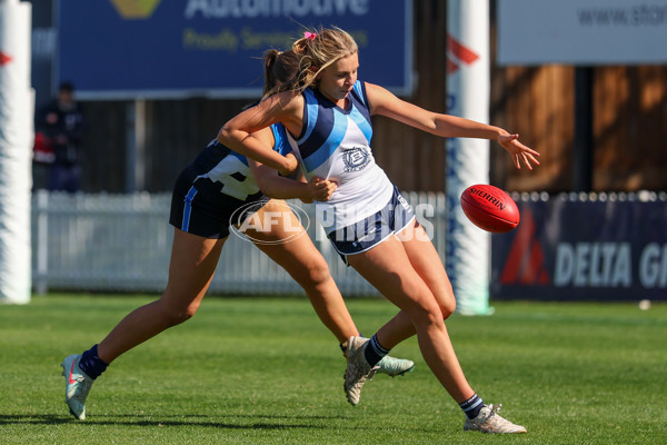 2025 Herald Sun Shield - Division 1 Intermediate Girls Grand Final - A-61595679