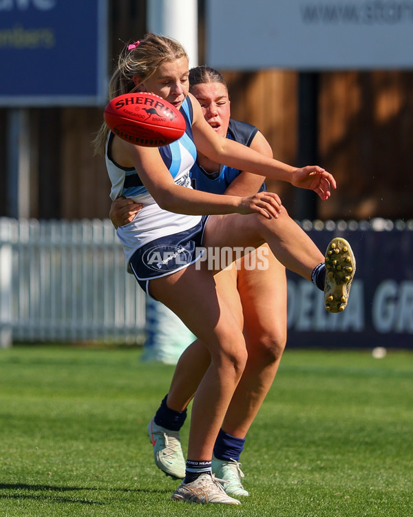 2025 Herald Sun Shield - Division 1 Intermediate Girls Grand Final - A-61595682
