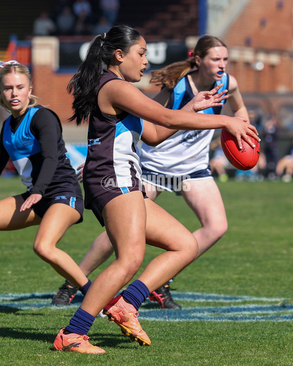 2025 Herald Sun Shield - Division 1 Intermediate Girls Grand Final - A-61595683